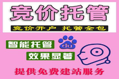 SEM推广技巧：实战案例教你快速提升流量